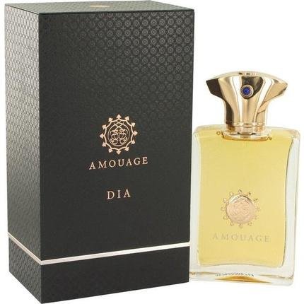 Amouage Dia Eau De Parfum Spray 100 ml for Men