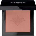 Oogschaduw Stendhal Highlighter N 302 (5,5 g)