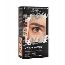 L'oral Paris Brow Color Eyebrow Tint #3.0-dark Brunette 4 U