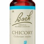 Food Supplement Bach Chicory 20 ml