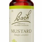Food Supplement Bach Mustard 20 ml