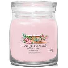 Desert Blooms Signature Candle - Vonn svka 368.0g