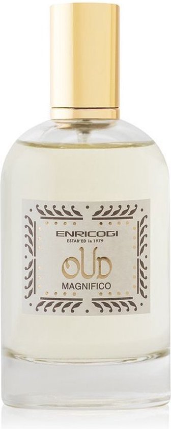 Uniseks Parfum Enrico Gi EDP Oud Magnifico (100 ml)