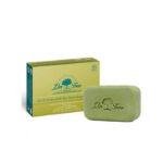 Solid Shower Gel Frequent Use 120 G By Dr. Tree 120 G