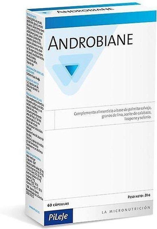 Pileje Androbiane Protect Caps 60