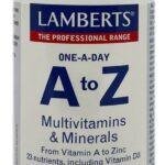 Food Supplement Lamberts A to Z 60 Units