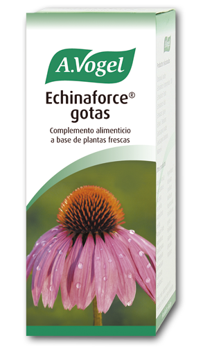 Vogel Echinaforce 100ml