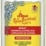 Alvarez Gmez Hydroalcoholic Spray 300ml