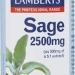 Bioserum Crema Lessobes 1 Lipo-reductor 250ml