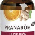PranarOm La DifusiOn EspIrito Festivo Bio (eco) 30 Ml
