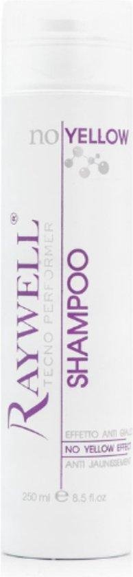 Raywell, No Yellow, Hair Shampoo, For Neutralisation Of Yellow Tones, 250 ml